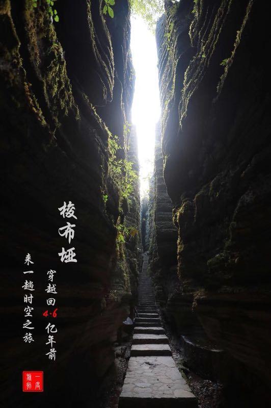 可爱猪救援2